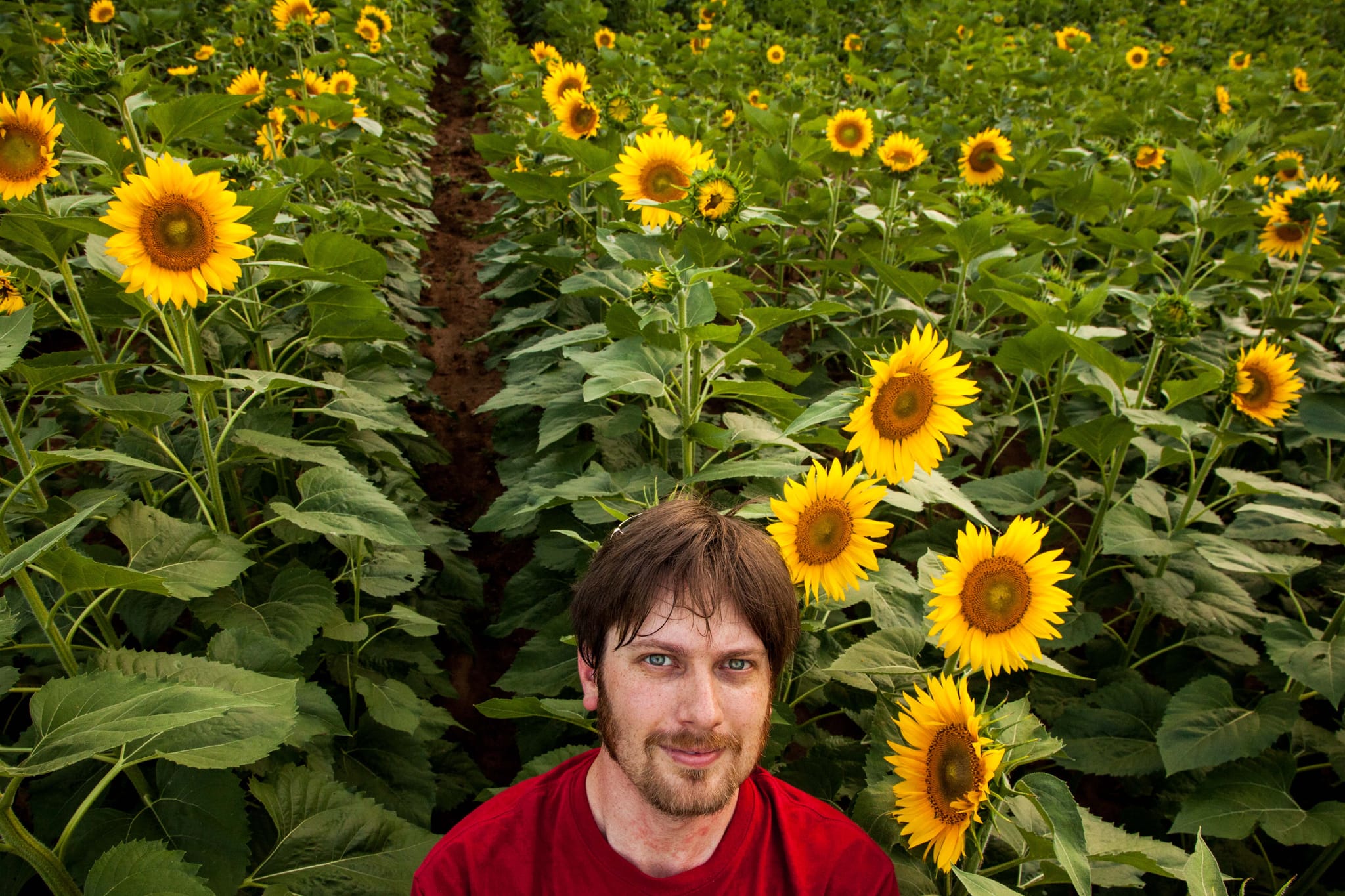 Chris selfie in sunflower field-2