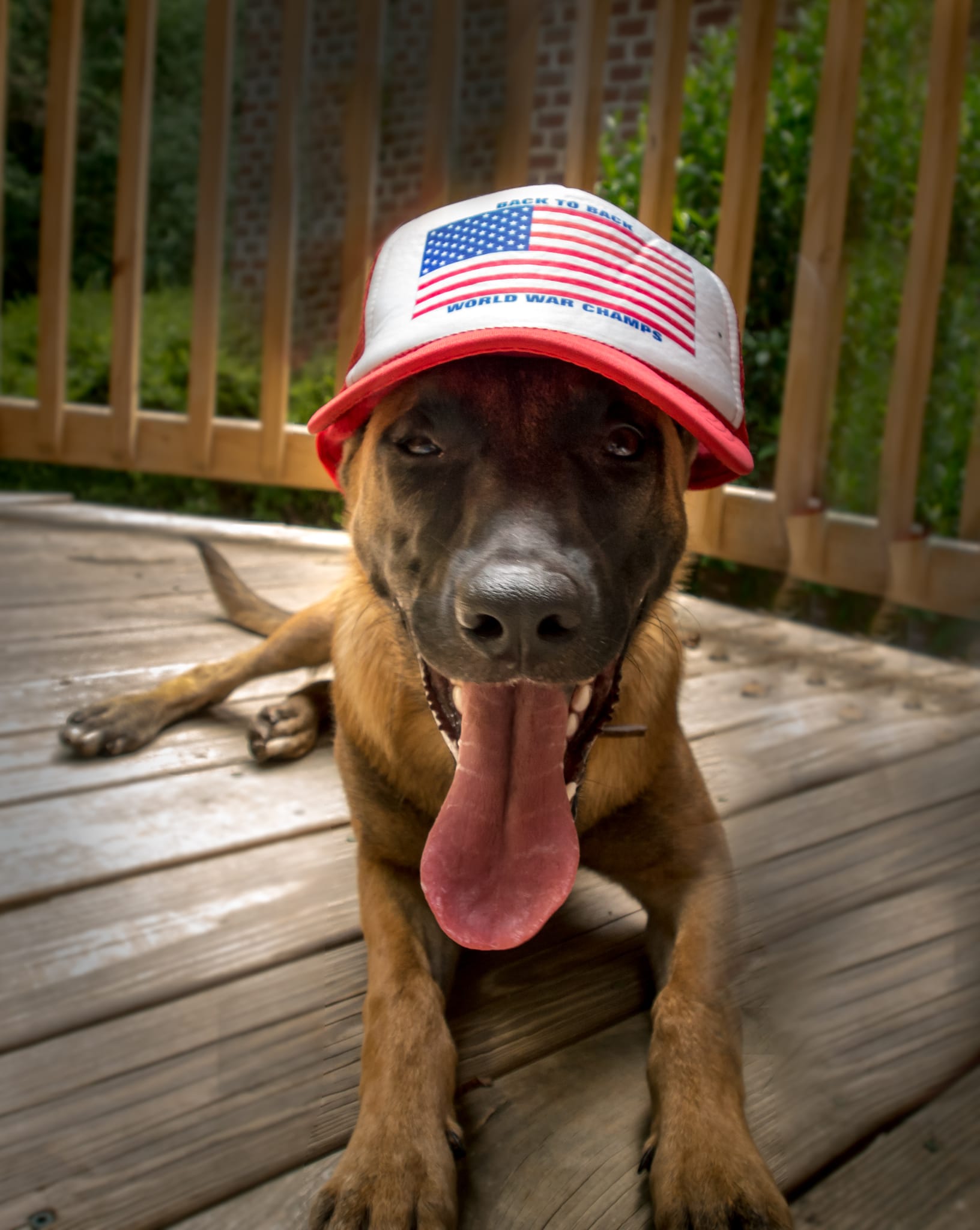 Lina USA USA USA