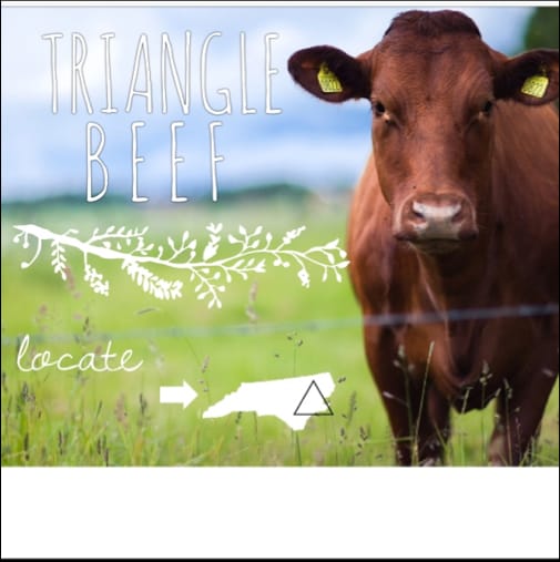 Triangle Beef