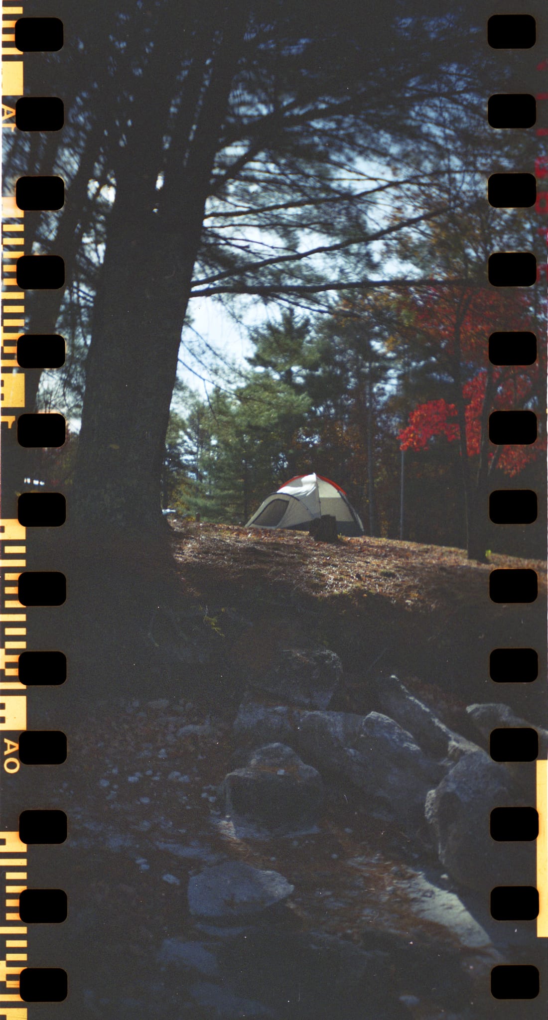 campsite232