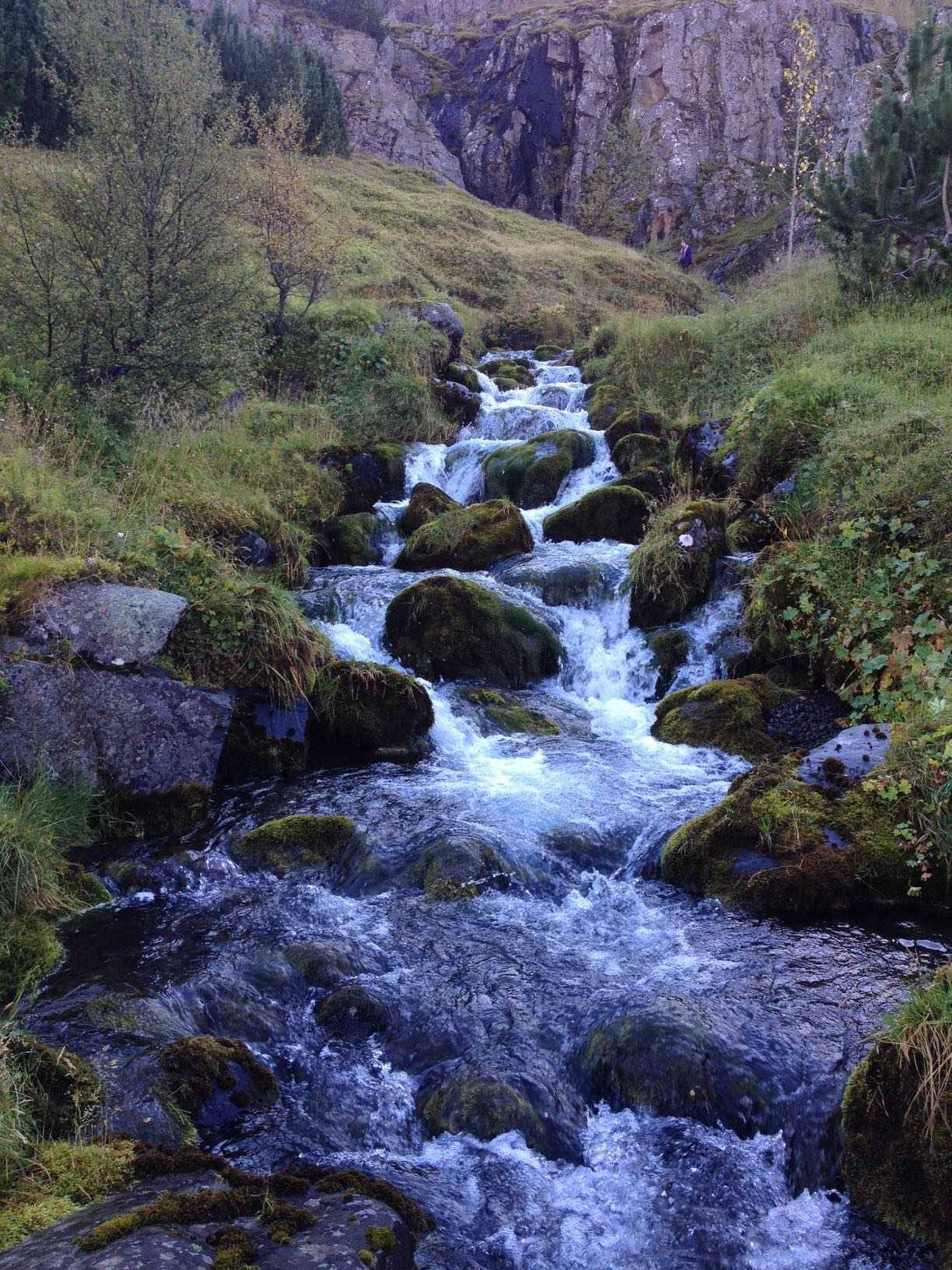 Trail above Seydisfjordur