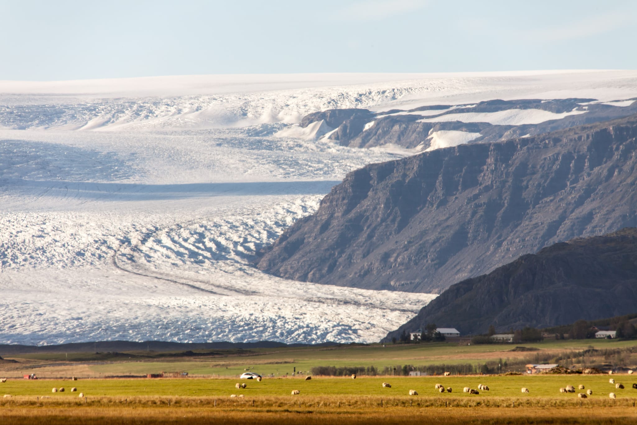 Glacial Sheep - Vatnajökull Glacier, Iceland