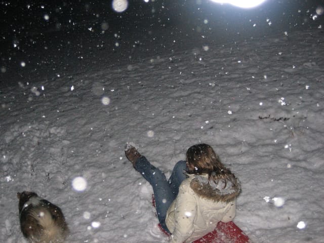 Snow 2008