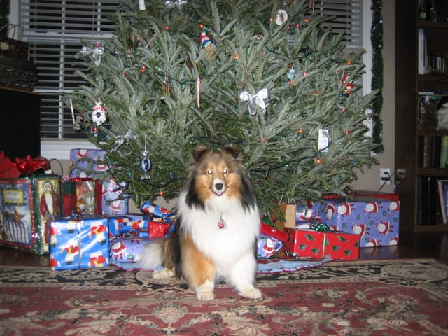 Christmas 2007
