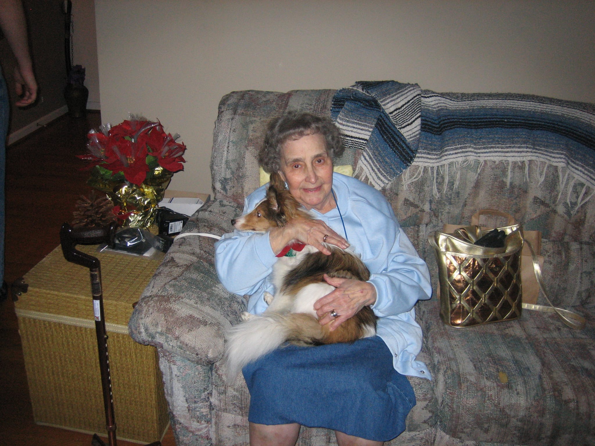 Doggie pics 074