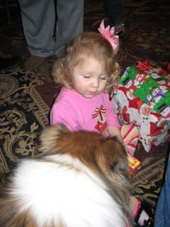 Doggie pics 075