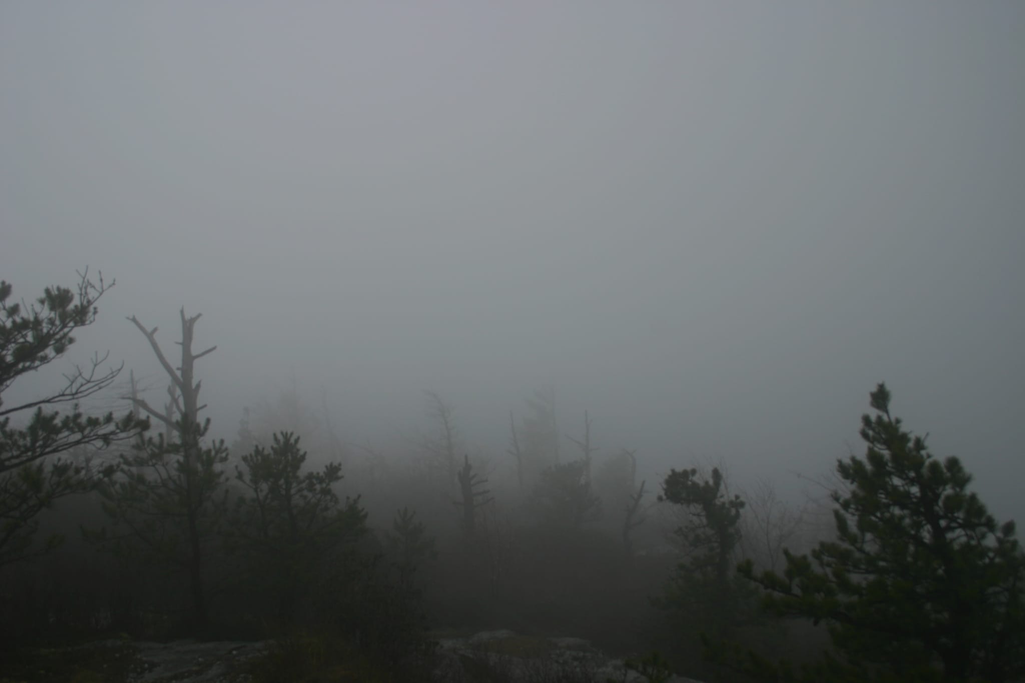 Table Rock in Linville Gorge April 19-20 2008 007