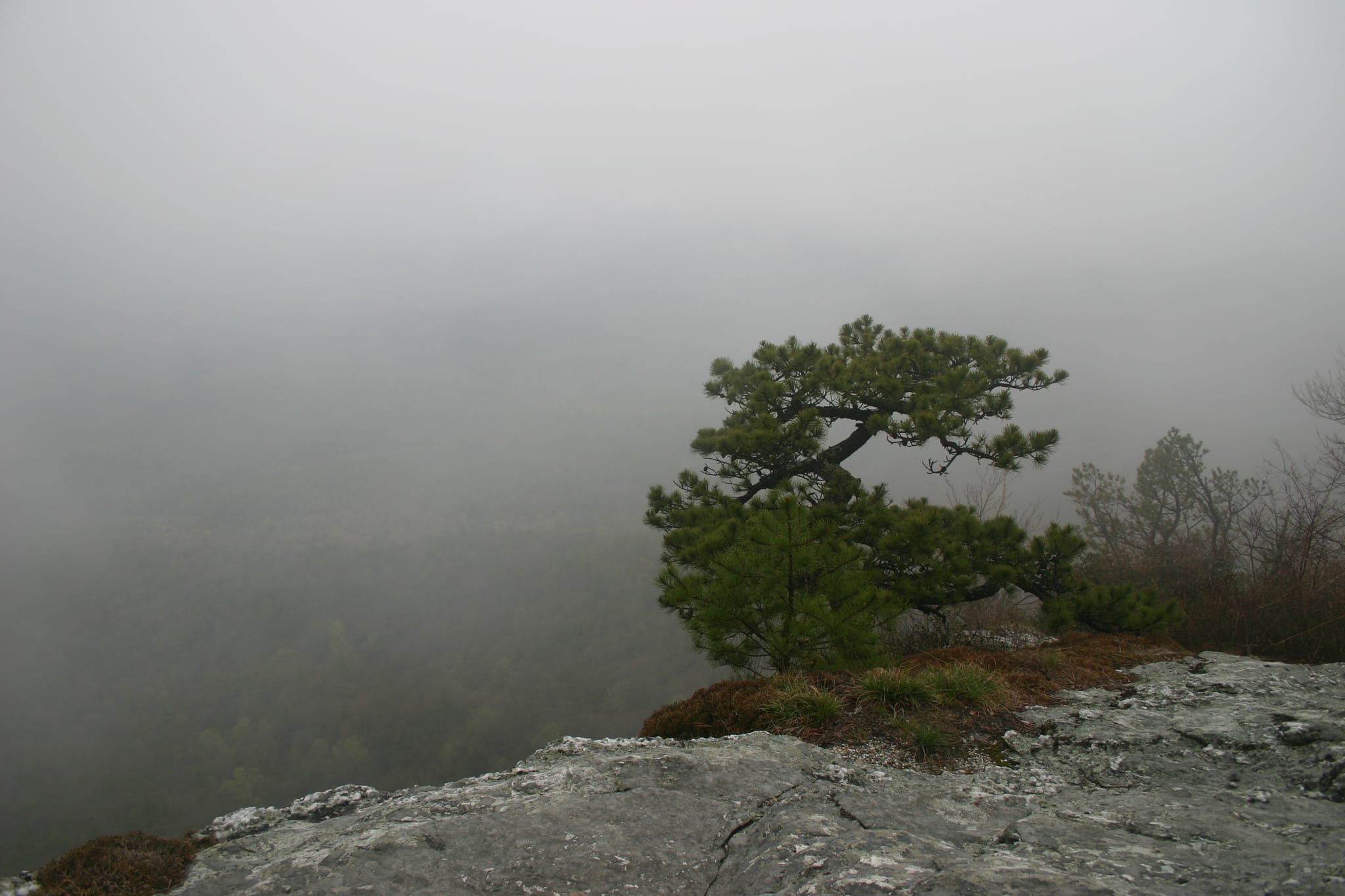 Table Rock in Linville Gorge April 19-20 2008 025