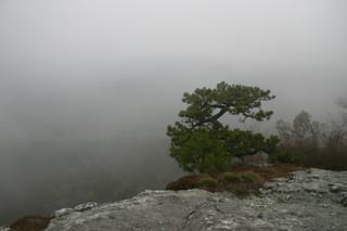 Table Rock in Linville Gorge April 19-20 2008 025