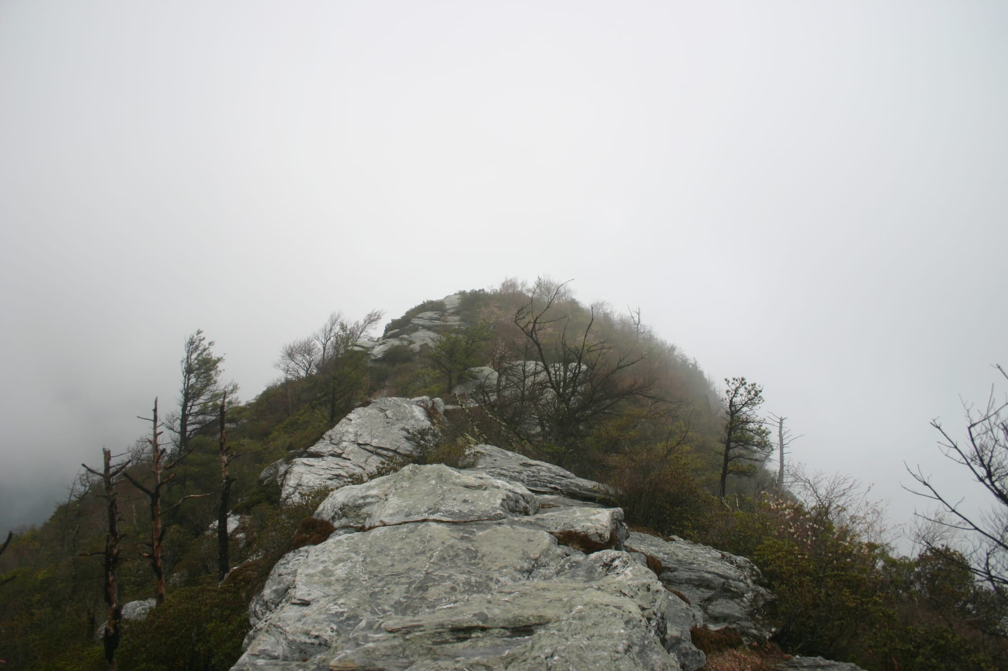 Table Rock in Linville Gorge April 19-20 2008 011
