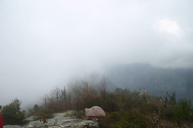 Linville Gorge - Table Rock - April 19-20, 2008