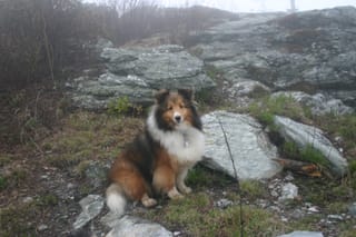 Roxy at table rock