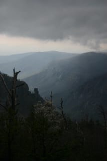 IMG_6848