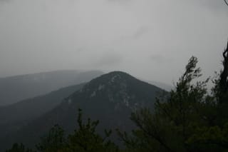 IMG_6852