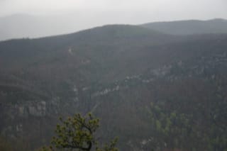 IMG_6854