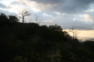 IMG_6877