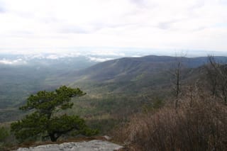 IMG_6950