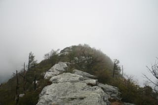 IMG_6790