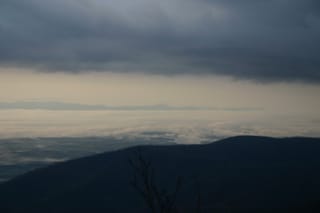 IMG_6884