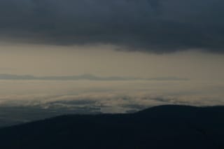 IMG_6890