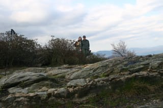 IMG_6908