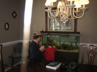 chris, will, and fish again
