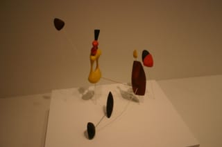 IMG_7172