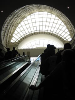 IMG_0247