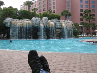 Caribe Royal Hotel in Orlando - by the pool