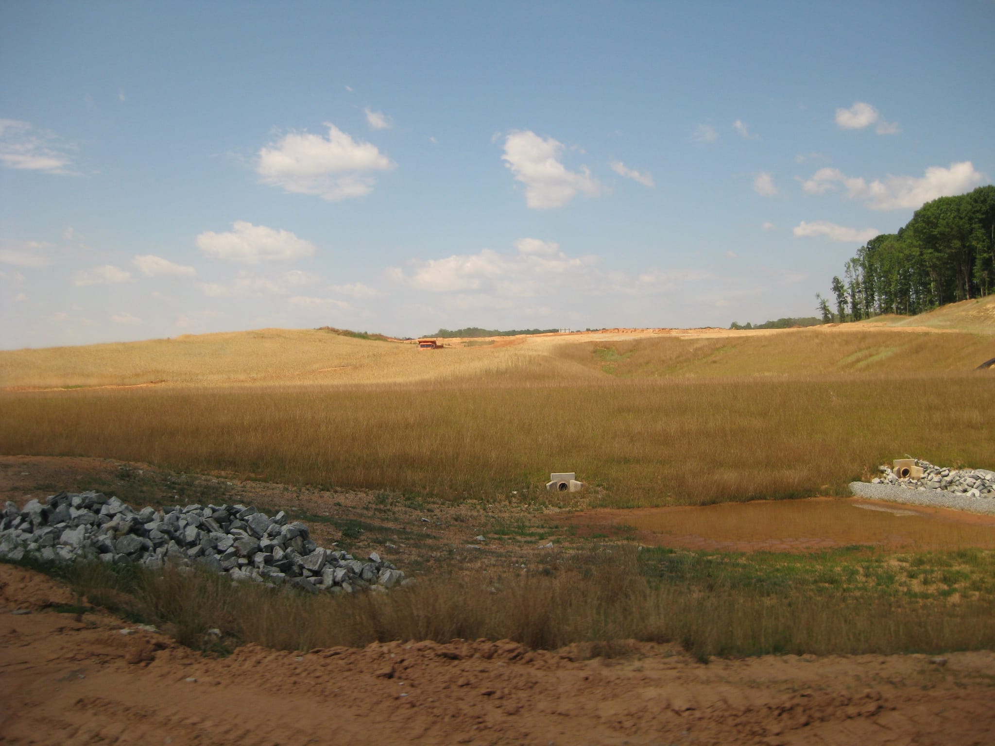 IMG_0466