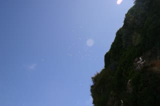 IMG_7316