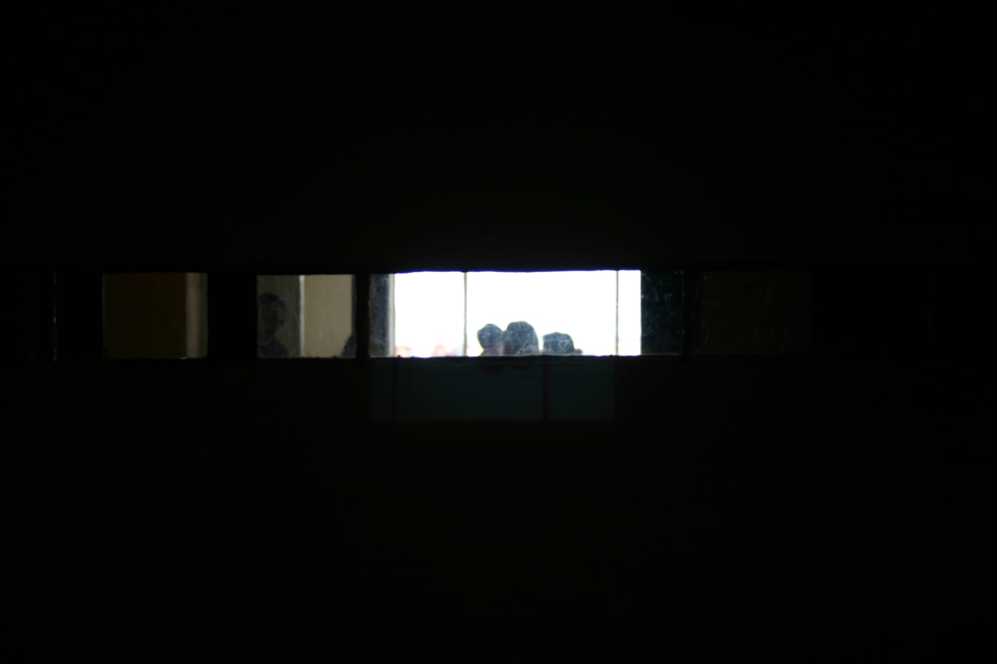 IMG_7389