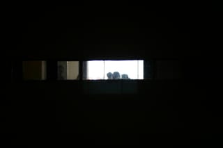 IMG_7389