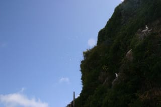 IMG_7317
