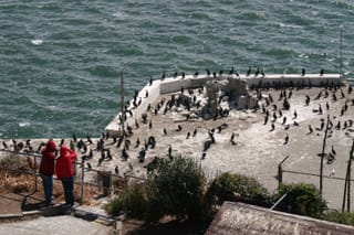 IMG_7376