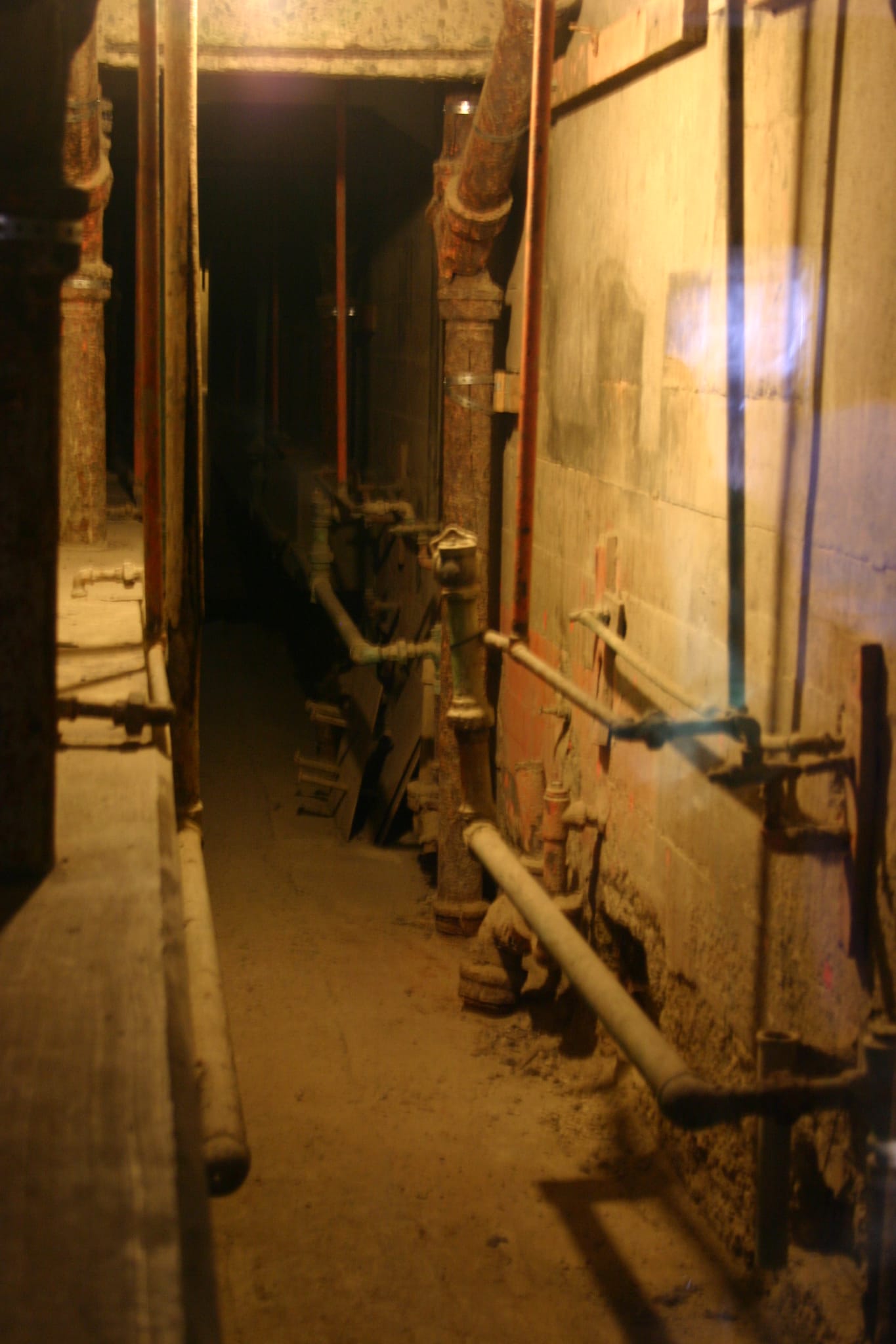 IMG_7414
