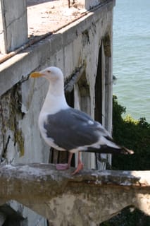 IMG_7291