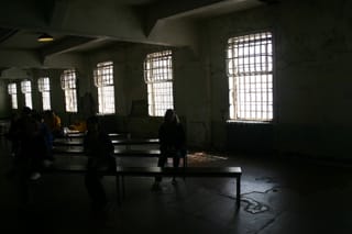 IMG_7426