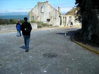 Alcatraz - Chris walking with a Seagull