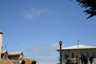 IMG_7313