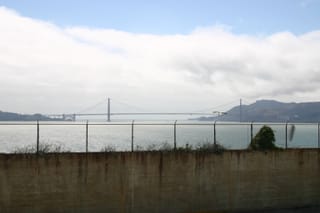 IMG_7351