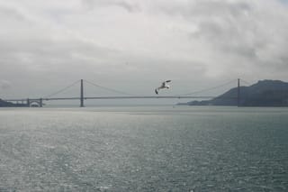 IMG_7361