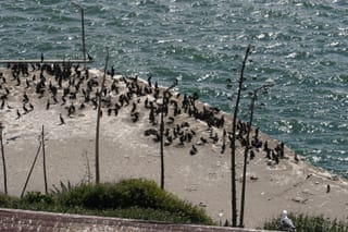 IMG_7377