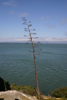 IMG_7292