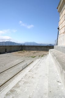 IMG_7347