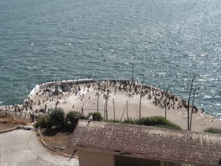 IMG_0974