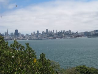IMG_0976