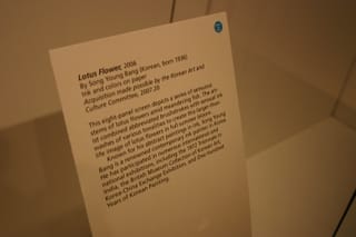 IMG_7554