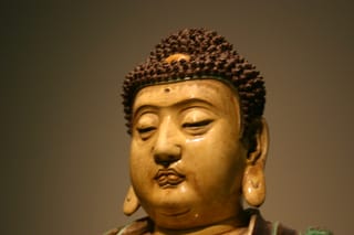 IMG_7586