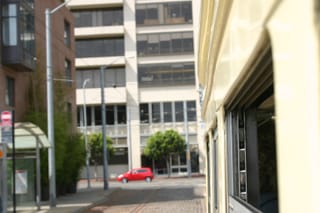 IMG_7445